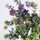 Artificial Plastic Succulent Plant Fake Leaves DIY Autumn Decoration Wreath Accessories Artificial Eucalyptus Home Wedding Decor Artificial Plastic Succulent Plant Fake Leaves DIY Autumn Decoration Wreath Accessories Artificial Eucalyptus Home Wedding Decor