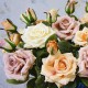 beautiful rose artificial silk flowers large retro home decor fake white faux rose artificial flowers vintage wedding decoration beautiful rose artificial silk flowers large retro home decor fake white faux rose artificial flowers vintage wedding decoration