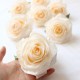 big rose head large roses heads silk flower head artificial flowers 5pcs DIY home wedding craft supplies decoration accessories big rose head large roses heads silk flower head artificial flowers 5pcs DIY home wedding craft supplies decoration accessories