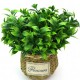 7 branches green artificial plants for garden bushes fake grass eucalyptus orange leaves faux plant for home shop decoration 7 branches green artificial plants for garden bushes fake grass eucalyptus orange leaves faux plant for home shop decoration