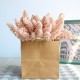 6pcs/lots artificial foam mini berry vanilla spike artificial cereals plant artificial flowers bouquet for home wedding decor 6pcs/lots artificial foam mini berry vanilla spike artificial cereals plant artificial flowers bouquet for home wedding decor