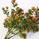Artificial Plastic Succulent Plant Fake Leaves DIY Autumn Decoration Wreath Accessories Artificial Eucalyptus Home Wedding Decor Artificial Plastic Succulent Plant Fake Leaves DIY Autumn Decoration Wreath Accessories Artificial Eucalyptus Home Wedding Decor