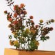 Artificial Plastic Succulent Plant Fake Leaves DIY Autumn Decoration Wreath Accessories Artificial Eucalyptus Home Wedding Decor Artificial Plastic Succulent Plant Fake Leaves DIY Autumn Decoration Wreath Accessories Artificial Eucalyptus Home Wedding Decor